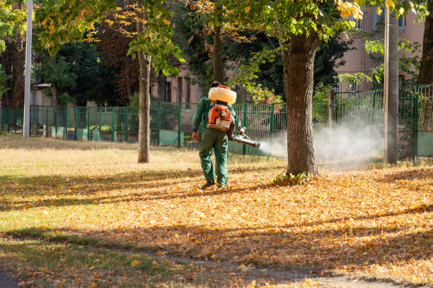 Best Pest Control Near Me in Glenrock, WY