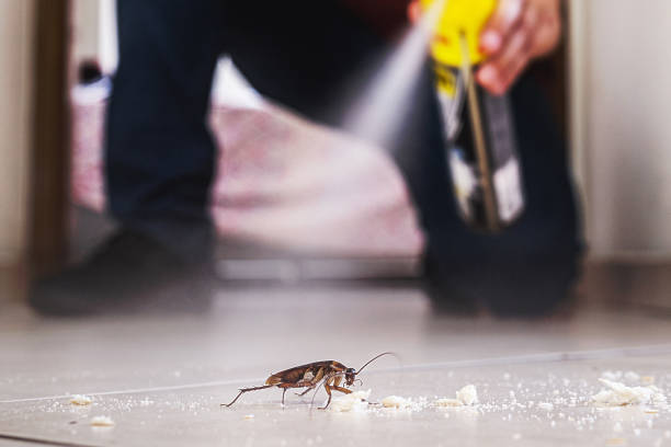 Best Exterminator Services  in Glenrock, WY