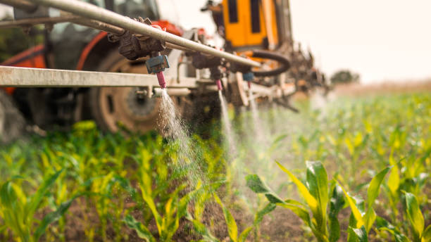 Best Commercial Pest Control Services  in Glenrock, WY